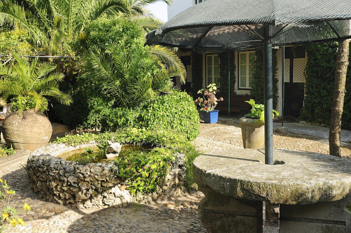Гостевой дом Casa Do Foral Риу-Майор Экстерьер фото